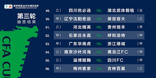 2024新澳精準資料免費提供,靈活執(zhí)行方案_ZWL29.155極致版