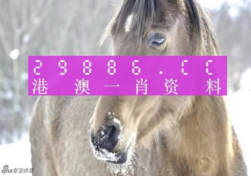 澳門(mén)精準(zhǔn)一肖一碼100%精準(zhǔn),可依賴(lài)操作方案_KMX49.482設(shè)計(jì)師版