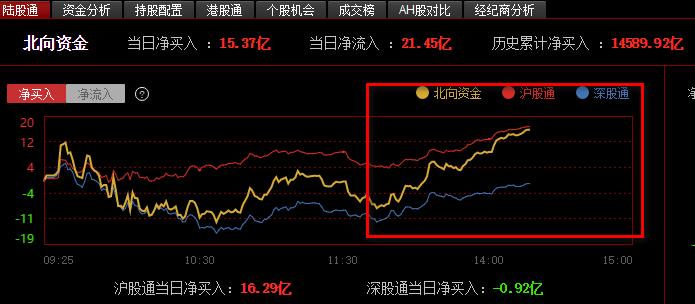 小巷深處的驚喜，600063特色小店最新動態(tài)與獨家消息揭秘