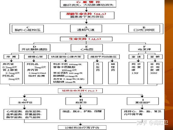 成人心肺復(fù)蘇最新指南，掌握生命救援技能，自信閃耀救援之路