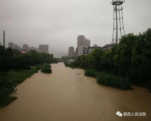 肥西暴雨下的溫情故事最新報道