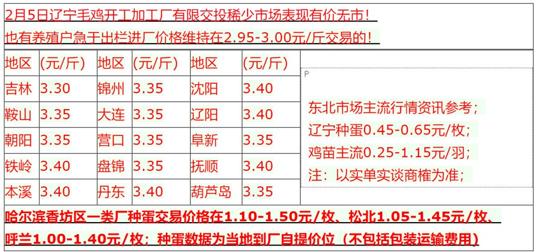 最新肉雞收購動(dòng)態(tài),最新肉雞收購動(dòng)態(tài)，巷弄深處的特色小店探秘