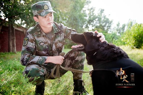 神犬奇兵演員陣容全揭秘，小巷中的星光寶藏探尋者