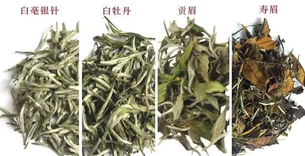 白牡丹白茶，探尋內(nèi)心平靜的茶道之旅與價格揭秘