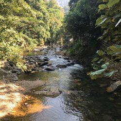 石門(mén)森林公園門(mén)票價(jià)格詳解及攻略