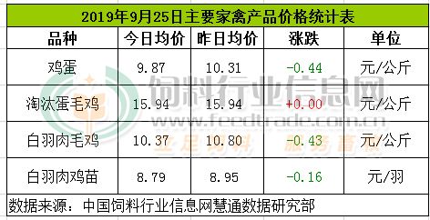 今日雞蛋批發(fā)價(jià)格表揭秘，小巷里的驚喜發(fā)現(xiàn)